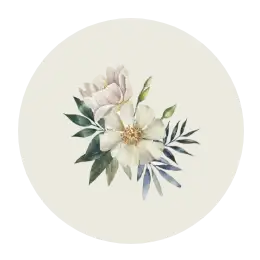 collection-img